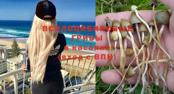скорость Богородицк