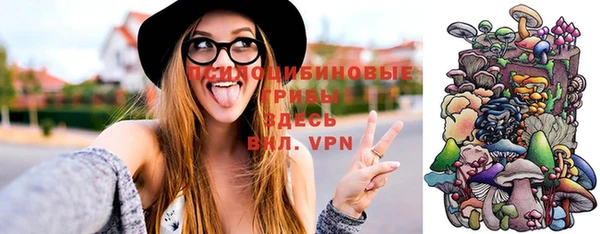 прущая мука Богданович